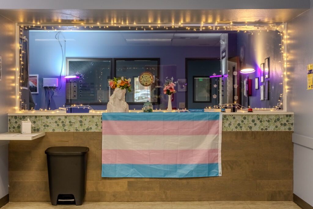 Our reception area at our Vancouver WA location. There are decorations, string lights, and a trans pride flag.